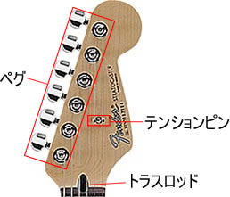 ストラトキャスタータイプのエレキギターの各部の名称:エレキギター講座